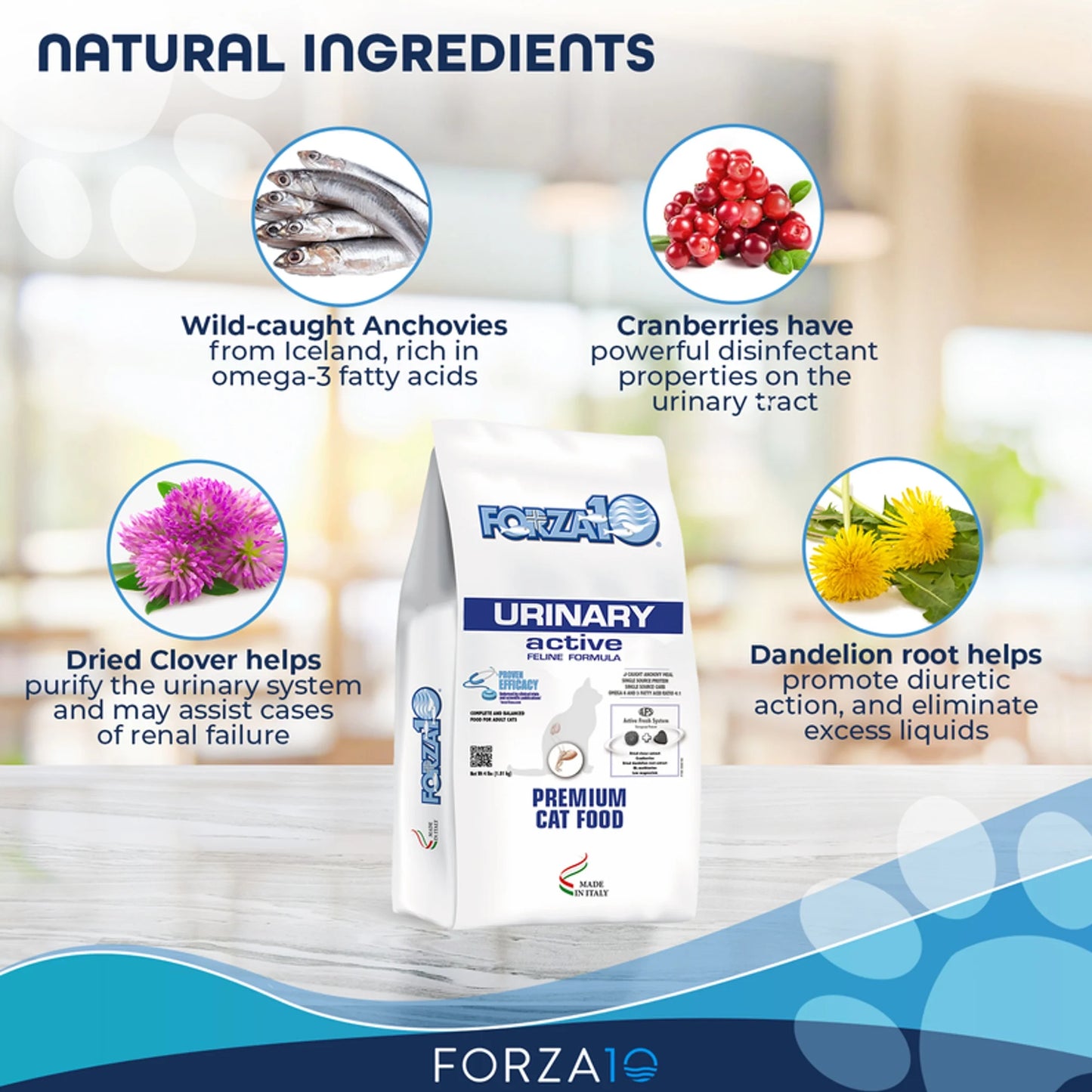 TD Forza10 Active Dry Cat Food for Active Urinary Cats