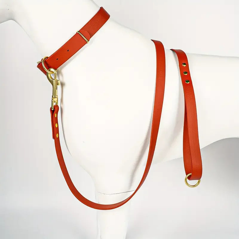 Dog Leash for Small Medium Large Dogs Walking,Easy to Use, Lightweight &amp; Durable,Training Leash for Control Safety Training
