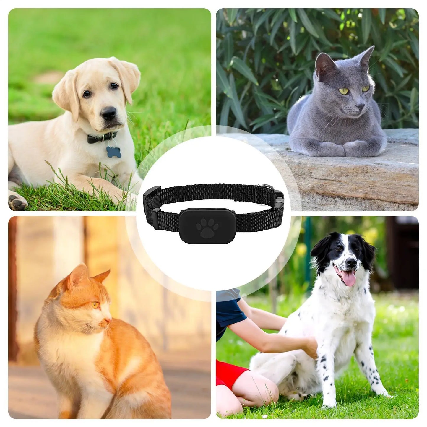 Multifunctional Pet Smart GPS Trackers Mini Anti Lost Collar Cats GPS Collar Cat Trackers Pet Locate Supplies For Dogs Cats