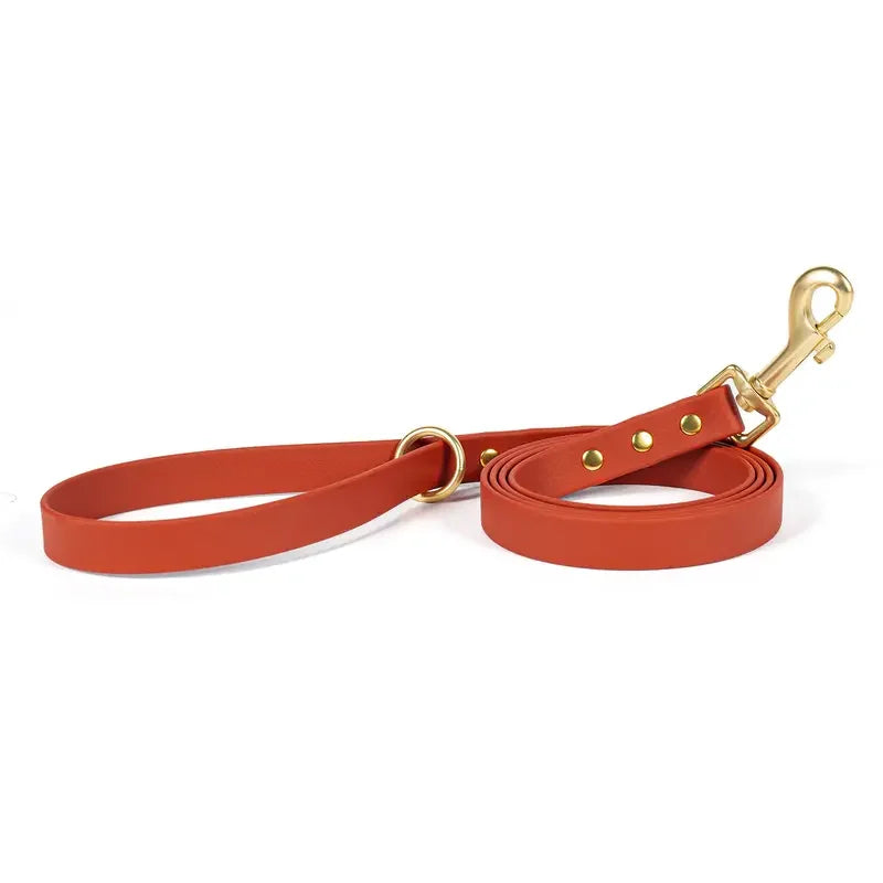 Dog Leash for Small Medium Large Dogs Walking,Easy to Use, Lightweight &amp; Durable,Training Leash for Control Safety Training