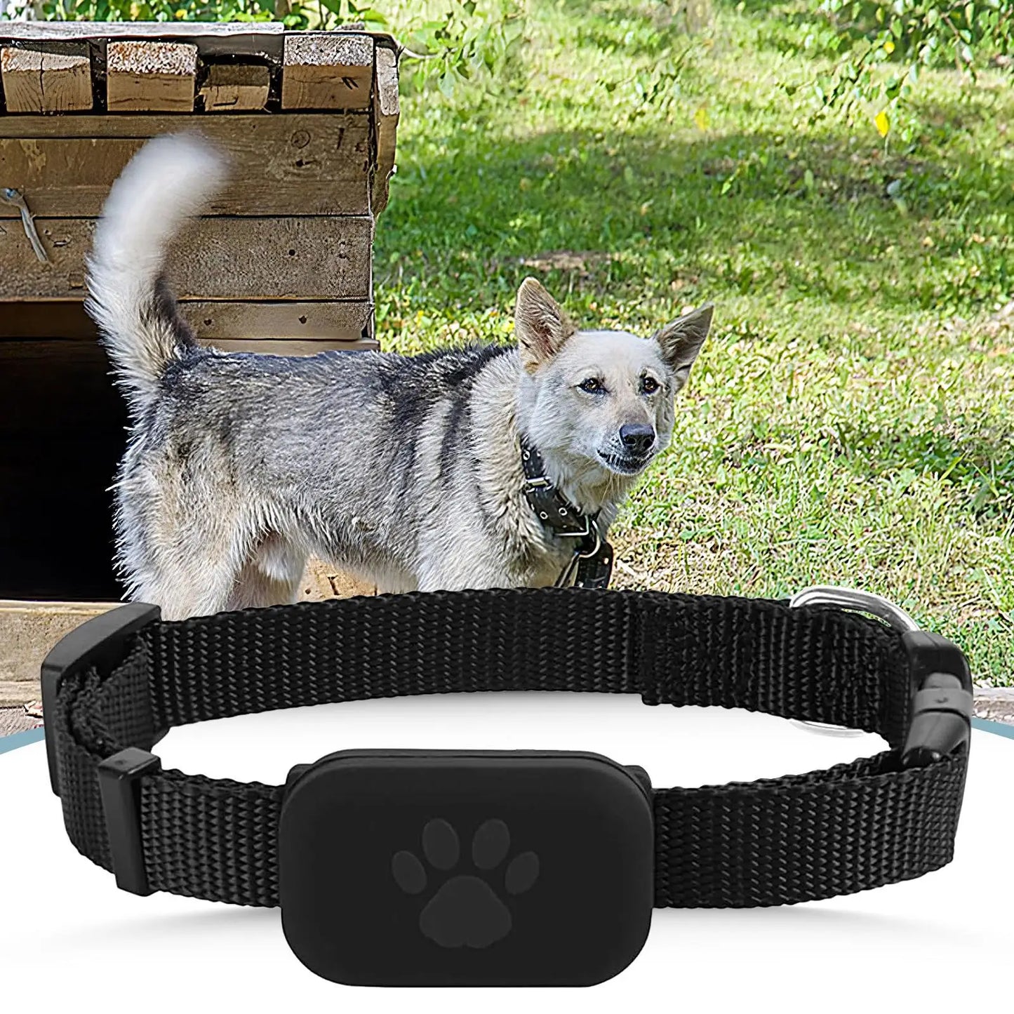Multifunctional Pet Smart GPS Trackers Mini Anti Lost Collar Cats GPS Collar Cat Trackers Pet Locate Supplies For Dogs Cats