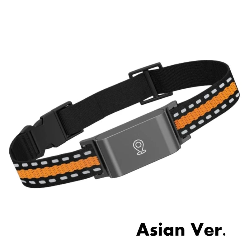 4G GPS Pet dog Tracker Collar Real Time Tracking APP Electronic Fence Anti Lost Dog Locator
