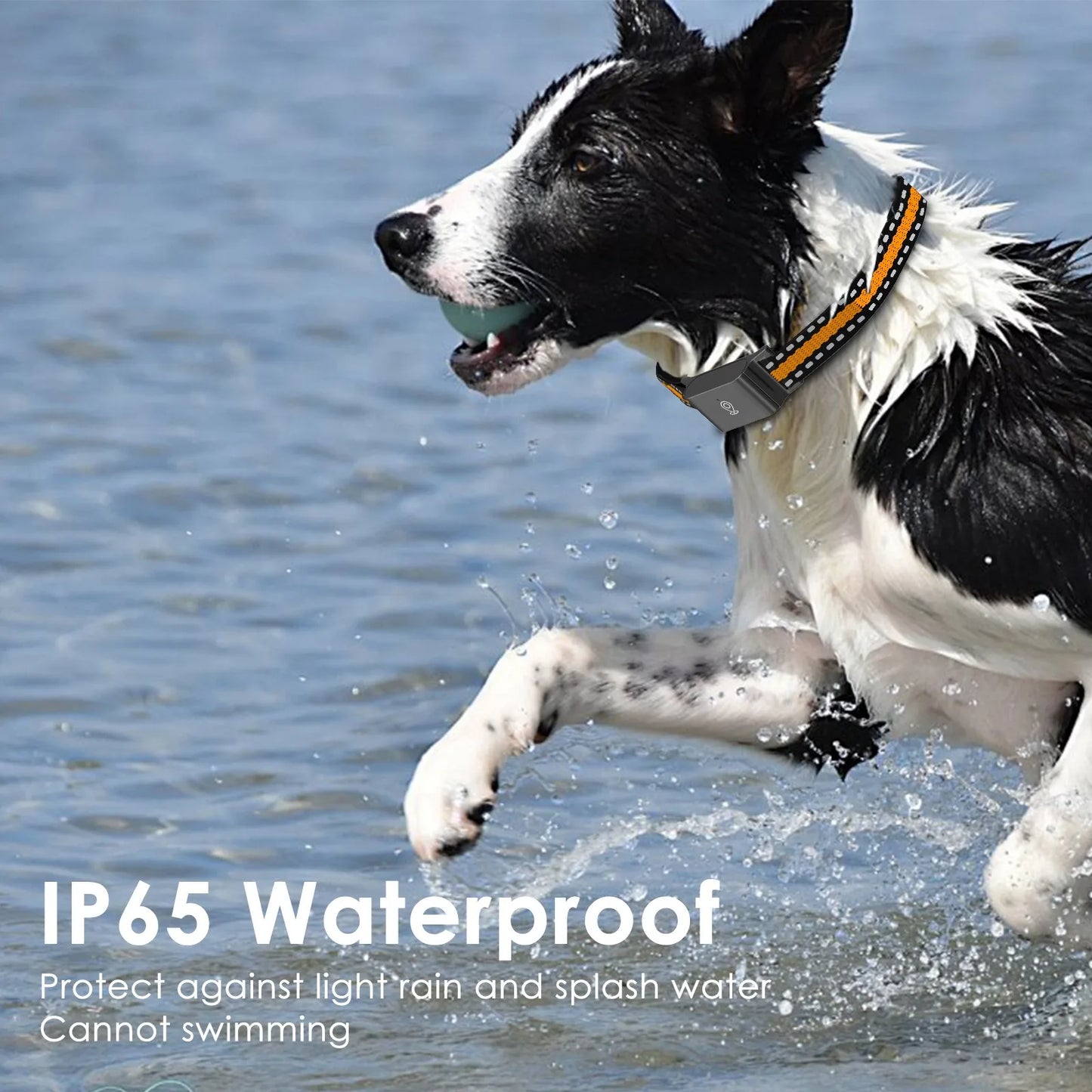 4G GPS Pet dog Tracker Collar Real Time Tracking APP Electronic Fence Anti Lost Dog Locator