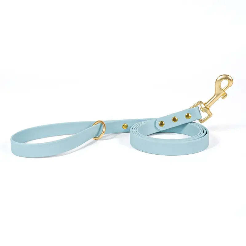 Dog Leash for Small Medium Large Dogs Walking,Easy to Use, Lightweight &amp; Durable,Training Leash for Control Safety Training