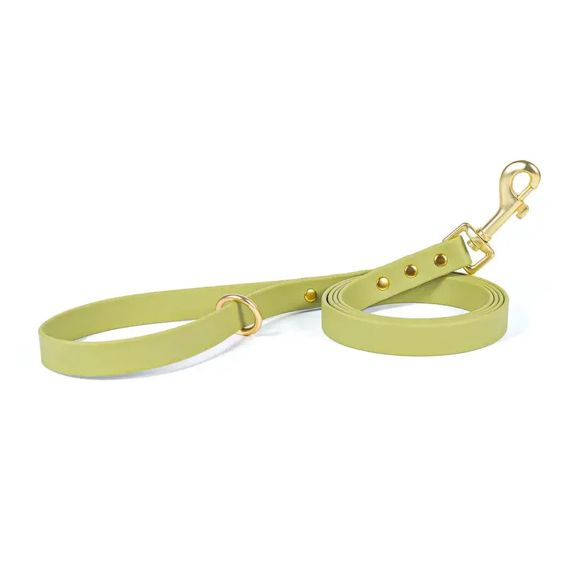 Dog Leash for Small Medium Large Dogs Walking,Easy to Use, Lightweight &amp; Durable,Training Leash for Control Safety Training