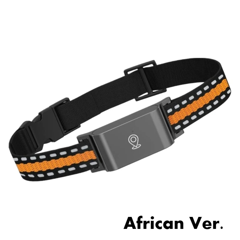 4G GPS Pet dog Tracker Collar Real Time Tracking APP Electronic Fence Anti Lost Dog Locator